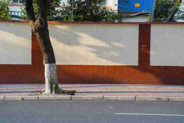 口碑解读麻豆网（幕后故事）彩蛋连连