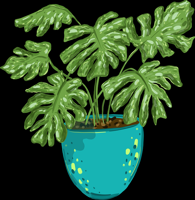 付费首发51视频网站——大神进阶新姿势解锁