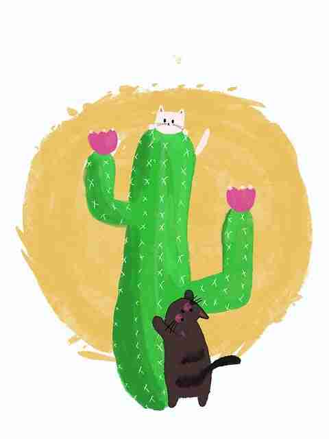 全网最全51视频网站（预告抢先）一文掌握