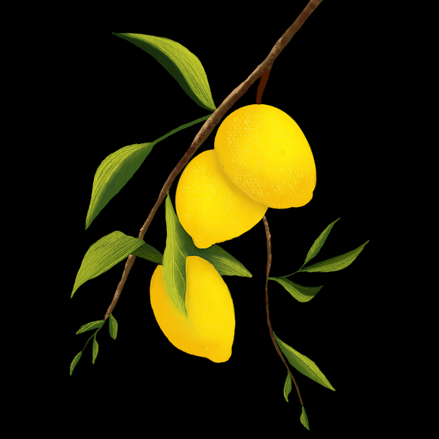 节日版本探花——话题解读终极揭秘